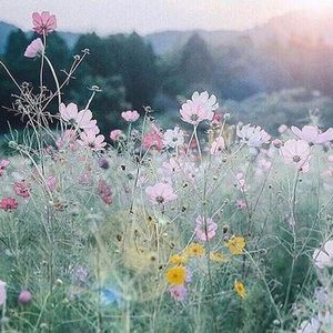 Meet your Posher, Jaida